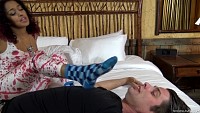 daisybedbluesock20.jpg